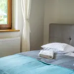 بود غوبولفكو *